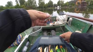 ЛОВЛЯ ЖЕРЕХА И ОКУНЯ | Волкер рулит | Рыбалка на спиннинг 2022 | Открываю сезон