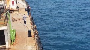 Рыбалка в Японском море. 1я Карифена. 24.06.2021г.