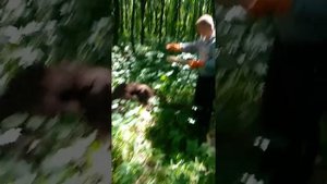 Заготовка муравьиного яйца .часть первая