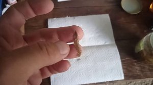 Червь нерейс как сохранить.