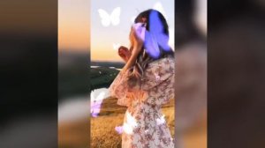 «Песня мне скажи»