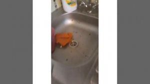 Обработка тараканов генератором холодного тумана