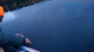СУДАК РЫБАЛКА на ПЕРЕМЕТ