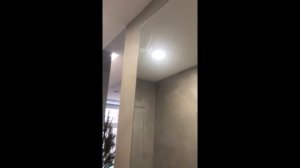 Зеркальная дверь на раздвижном механизме HIDDEN: обзор