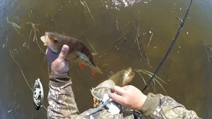 Летняя рыбалка на огромного окуня, на севере Стофети и компания 2017 Fishing in the north of Russi