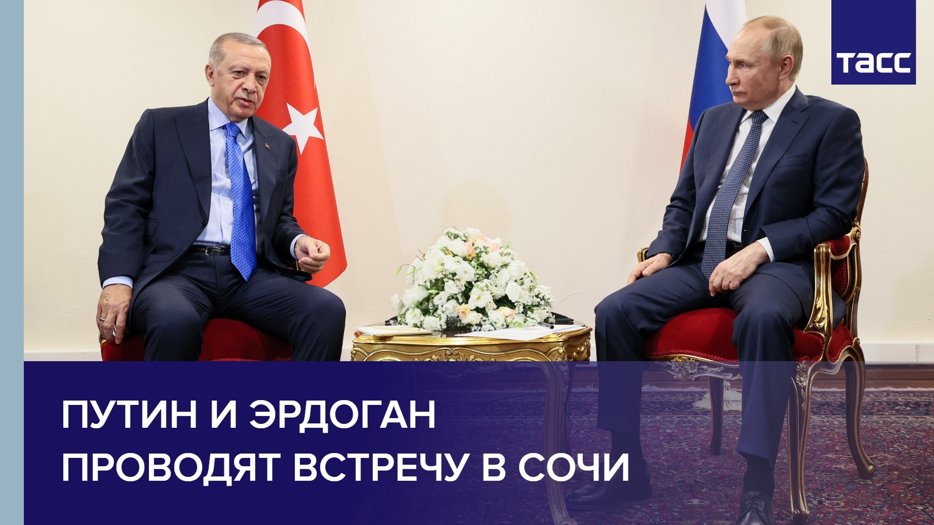 Путин и Эрдоган проводят встречу в Сочи