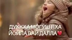 Йиша йо1 декъала еш