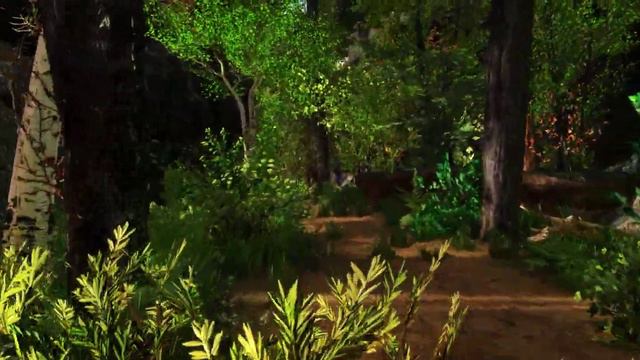 Skyrim SE - Chanterelle_Waldweg - Reshade & ENB смотреть онлайн