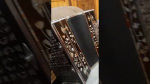 Ирек Мутыгуллин.