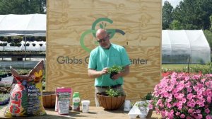 Video #6 Planting Mixed Containers and Hanging Baskets with Gibbs Garden Center