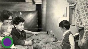 Вот что случилось в семье Берберовых, которая держала льва в простой советской квартире