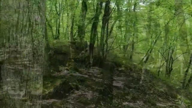 Видеоэкскурсия по долине реки Жане ( Геленждик)