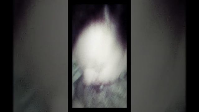 Мама с Башкой смотреть онлайн