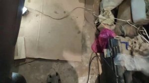 Предпусковой подогреватель Бинар  5s  на renault fluence