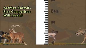 Arabian Animals Size Comparison with Sound 2022 | Wild Arabian Animal size comparison for Children'