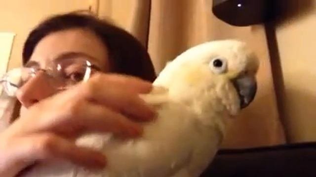 скрипит