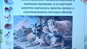 Видеоурок на тему "История одомашнивания диких животных"