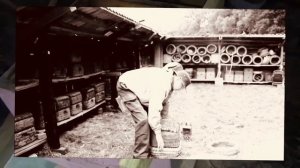 ...и создал он улей...