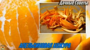 Готовимся к дачному сезону УДОБРЕНИЕ ИЗ ОТХОДОВ для повышения ПЛОДОРОДИЯ ПОЧВЫ Дачные Совет