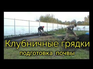 Грядки для клубники на Кубани-1 этап