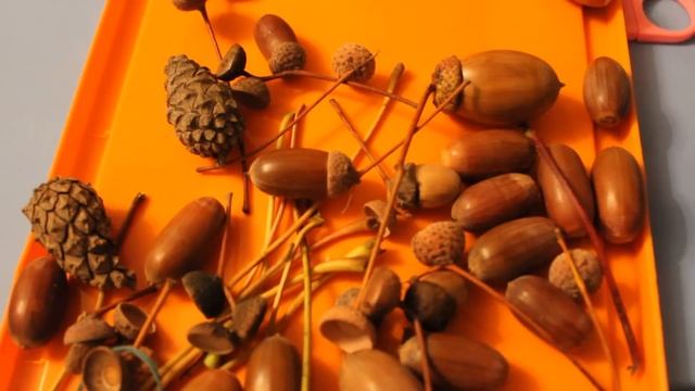 ОСЕННЯЯ ПОДЕЛКА "ПАУТИНА" смотреть онлайн