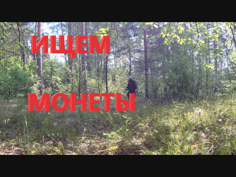 Ищем монеты металлоискателем в красивом лесу #43