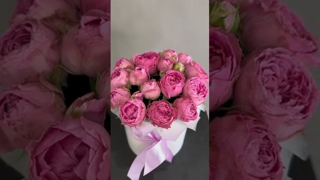LoVa Flowers. Живые цветы в коробке. Букет из свежей кустовой розы "Мисти Бабблз"
