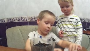 Как вырастить дуб из желудя