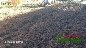 Покос травы и сорняков и вспашка земли