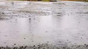 НА  ПОРОГЕ  ЗИМЫ