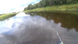 Река Молога. Рыбалка на спиннинг с лодки в конце лета. Щучка на спиннинг. Спиннинговая рыбалка. РСД