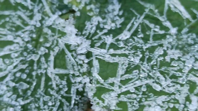 Славянск 15 октября 2022 — Первые Заморозки. Утро. смотреть онлайн