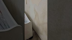 Квартира после потопа, нужно сразу делать озонирования и просушивать.
