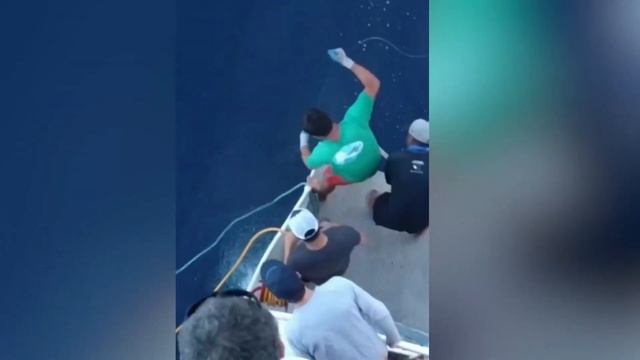 The Craziest Shark Attacks смотреть онлайн