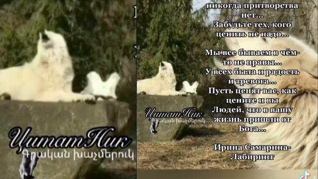 Цените