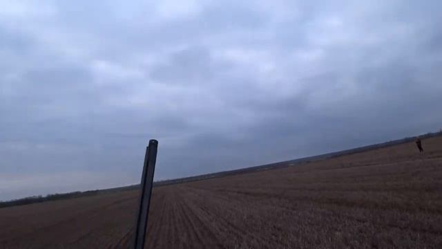 Лучшая Охота На Зайца: Это Просто Класс! https://t.me/ohota_stendovaya_strelba смотреть онлайн