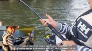 River Boats 370 НДНД