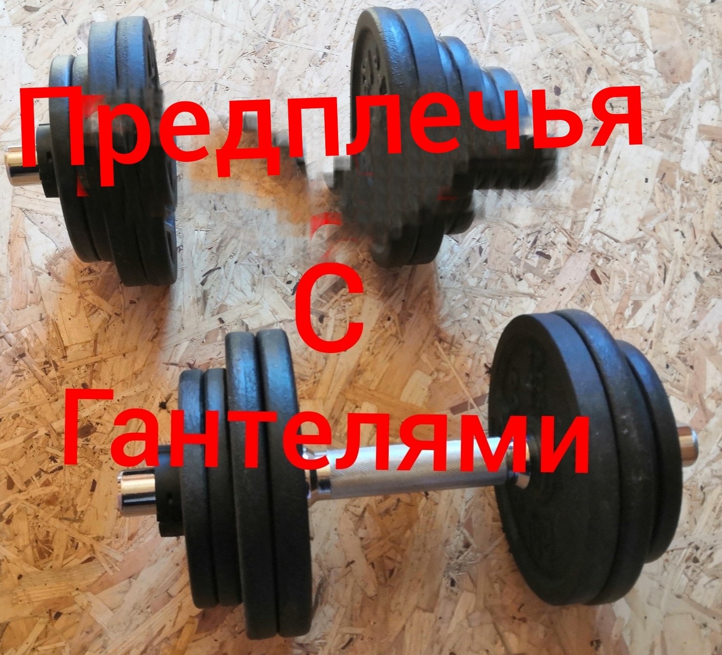 Тренировка предплечий дома /Предплечья с гантелями