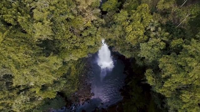 “КРЕПКОЕ ЗДОРОВЬЕ»- сеанс самопрограммирования