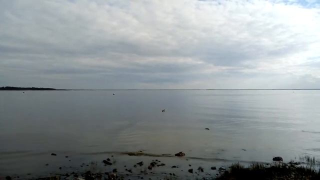 Парк Дубки и пляж Дубковский