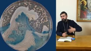 МОЖНО ЛИ ЗАРАЗИТЬСЯ В ЦЕРКВИ? МИКРОБИОЛОГИЯ ХРАМА. Прот. Александр Проченко