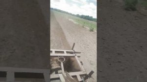 Прополка картофеля на сверхзвуковой скорости японским минитрактором Исеки24