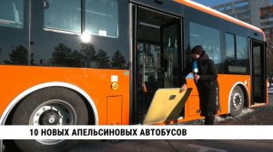 10 новых апельсиновых автобусов в Хабаровске
