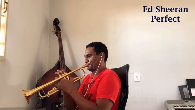 Perfect Ed Sheeran - Partituras Sax alto, tenor, violino, violoncelo, flauta e trompete PDF (cover) смотреть онлайн