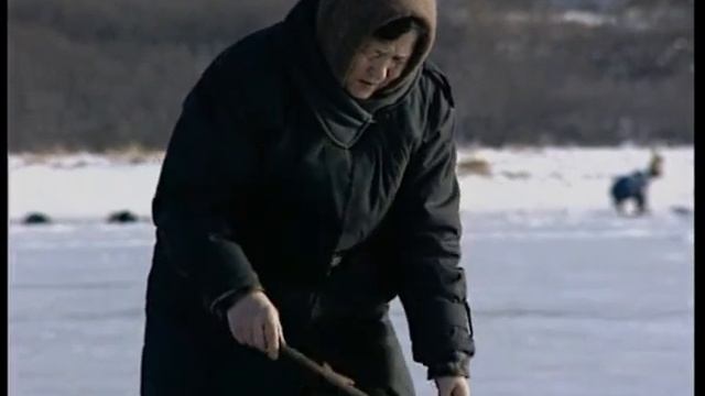 Диалоги о рыбалке - 116 - Авачинская бухта, корюшка, навага.