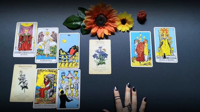 💗Pick a card: Love advice from your future self🌺Love Predictions Tarot Reading | Artemisse Tarot💗 смотреть онлайн