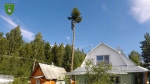 Доделываем за халтурщиками. Скупой платит дважды.