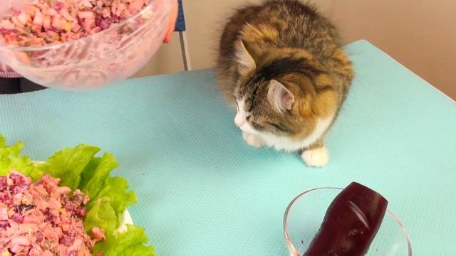 Вкусный салат со свеклой САЛАТ ПОЦЕЛУЙ КАРМЕН Простой рецепт салата 365 СОВЕТОВ Какой вкусный салат