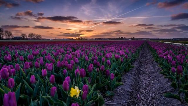 "Цветные сны". Красивая песня в исполнении Татьяны Морозовой. смотреть онлайн