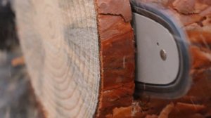 Пила цепная ПЦА 18 36В | ИНТЕРСКОЛ